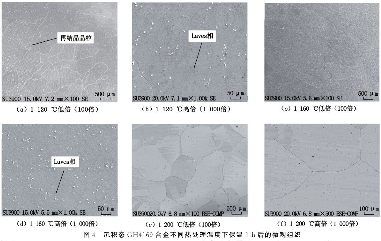 均勻化熱處理對電弧增材制造GH4169合金組織影響