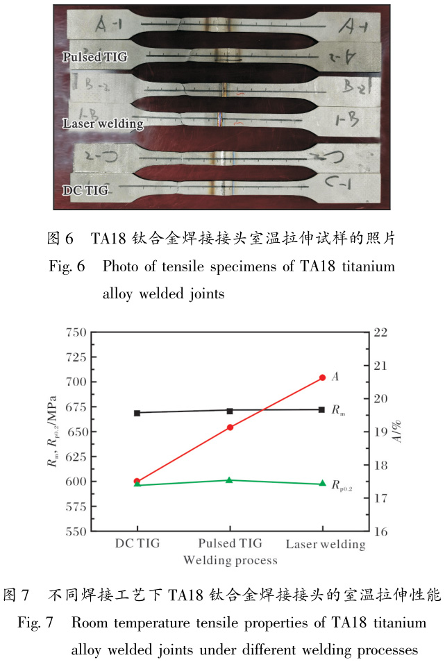 t6-7.jpg