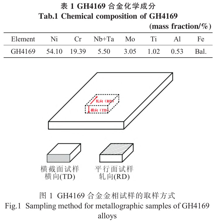 b1-t1.jpg