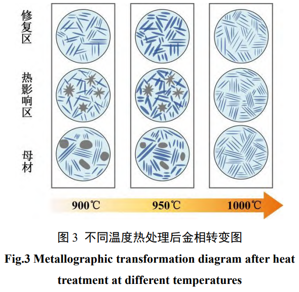 截圖20250207201712.png